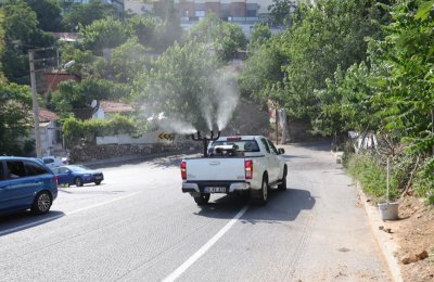 Bayraklı’da ‘ilaçlama’ seferberliği